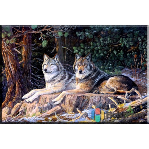 Картина Волки, , 168.00 грн., JVV777004, , Картины Животных (Репродукции картин)
